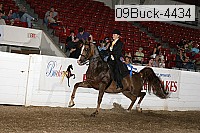 09buck-4434 proof