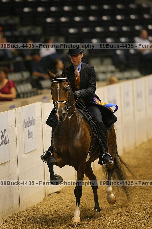Proof 09buck-4435