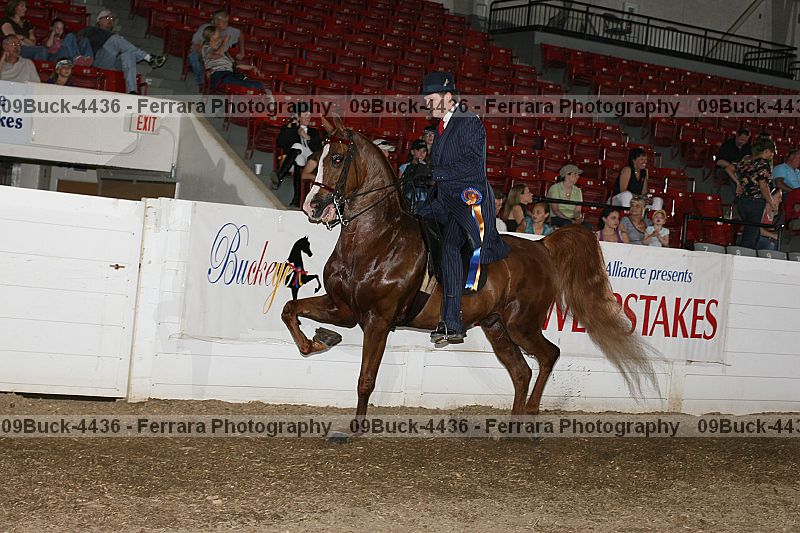 Proof 09buck-4436