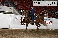 09buck-4436 proof
