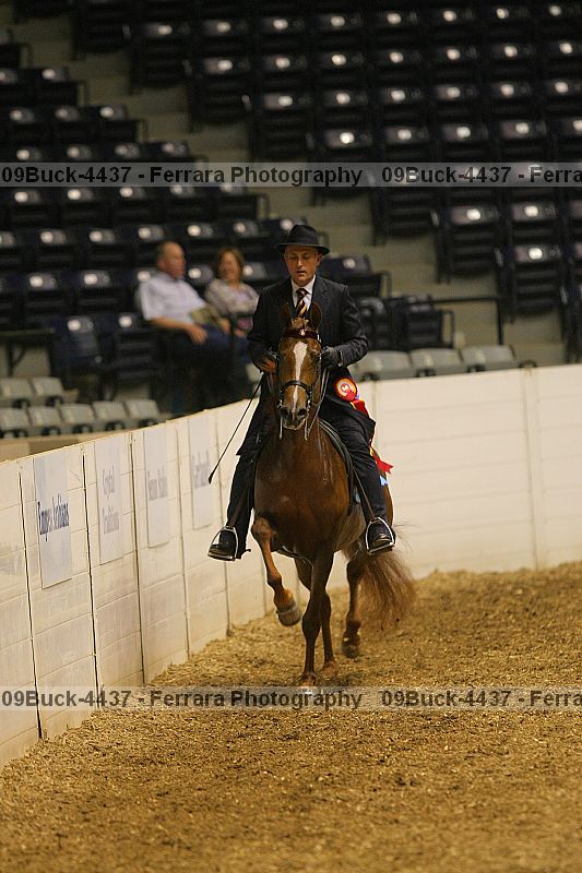 Proof 09buck-4437
