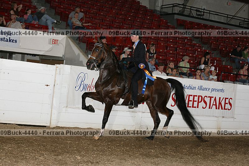 Proof 09buck-4440