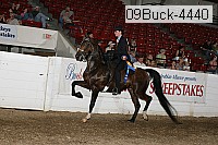 09buck-4440 proof