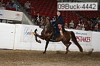 09buck-4442 proof