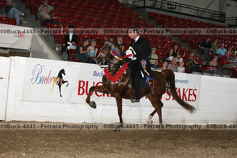 Proof 09buck-4445