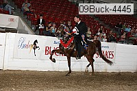 09buck-4445 proof