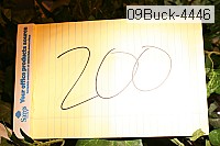 09buck-4446 proof