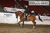 09buck-4449 proof