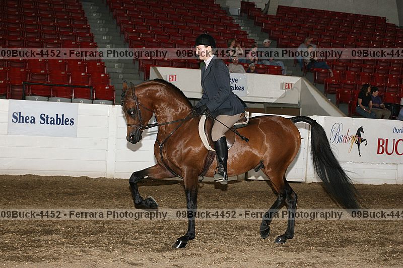 Proof 09buck-4452