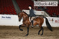 09buck-4452 proof