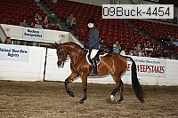 09buck-4454 proof