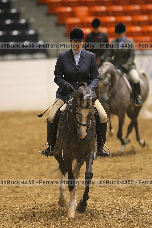 Proof 09buck-4455