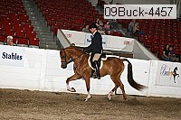 09buck-4457 proof