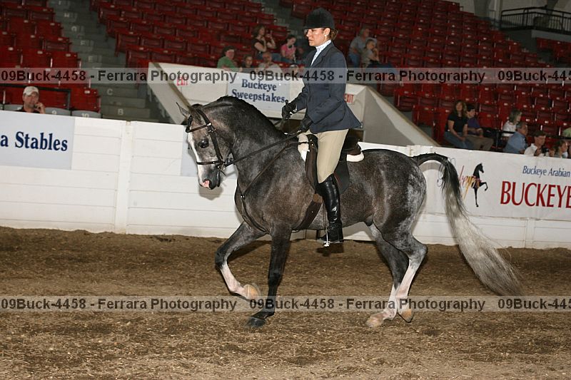 Proof 09buck-4458