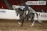 09buck-4458 proof