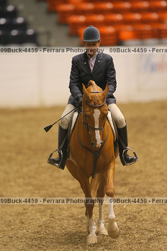 Proof 09buck-4459