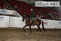 09buck-4460 proof