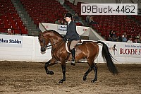 09buck-4462 proof