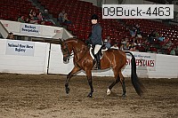 09buck-4463 proof