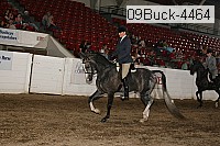 09buck-4464 proof