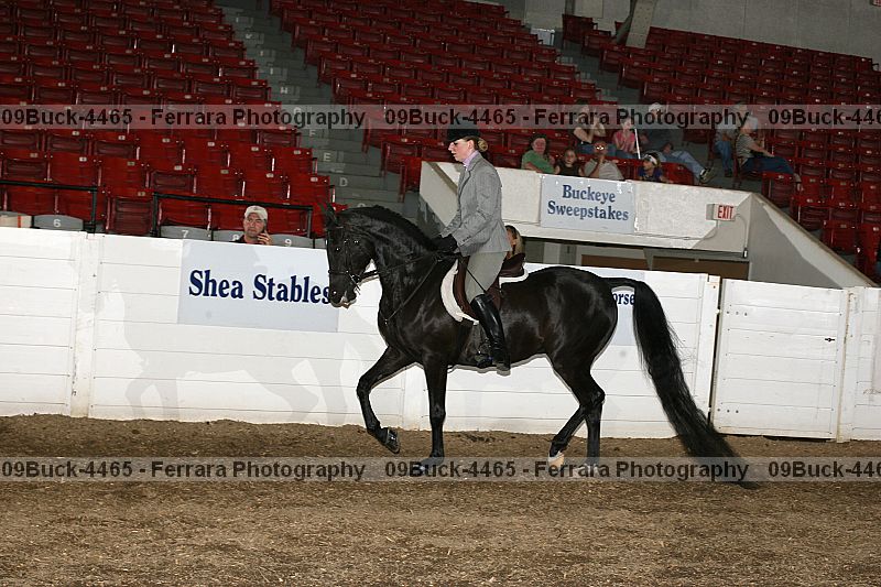 Proof 09buck-4465