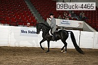 09buck-4465 proof