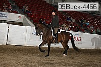 09buck-4466 proof