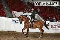 09buck-4467 proof