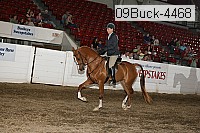 09buck-4468 proof