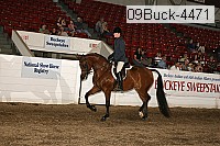 09buck-4471 proof