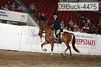 09buck-4475 proof