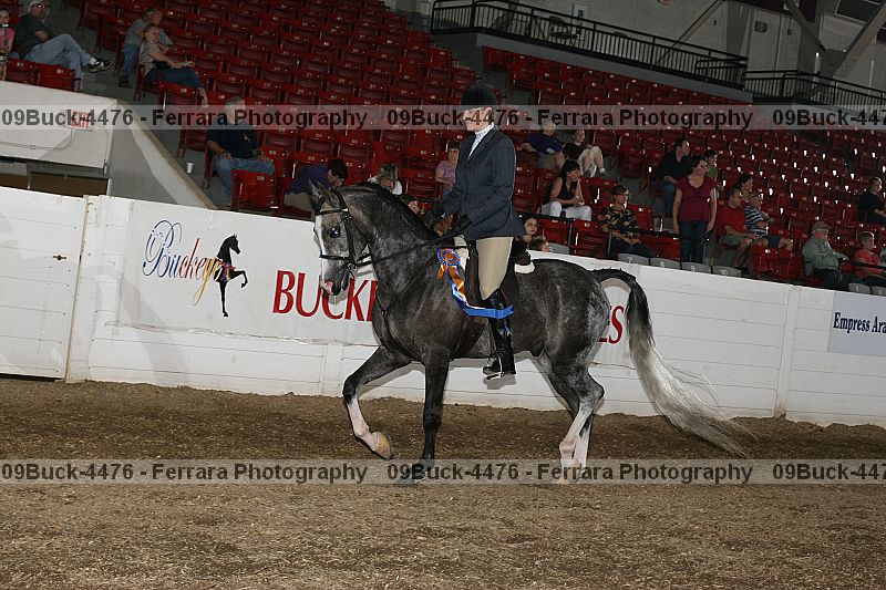 Proof 09buck-4476