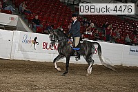 09buck-4476 proof
