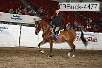 09buck-4477 proof