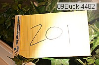 09buck-4482 proof