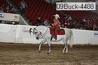 09buck-4488 proof