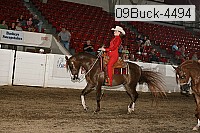 09buck-4494 proof