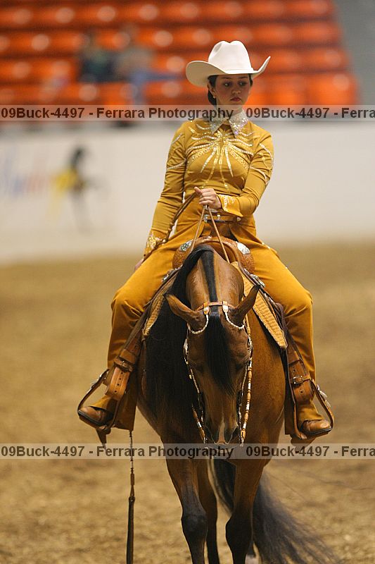 Proof 09buck-4497