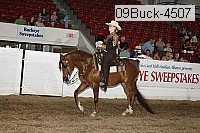 09buck-4507 proof