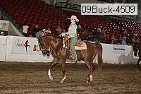 09buck-4509 proof