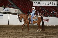 09buck-4514 proof