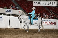 09buck-4517 proof