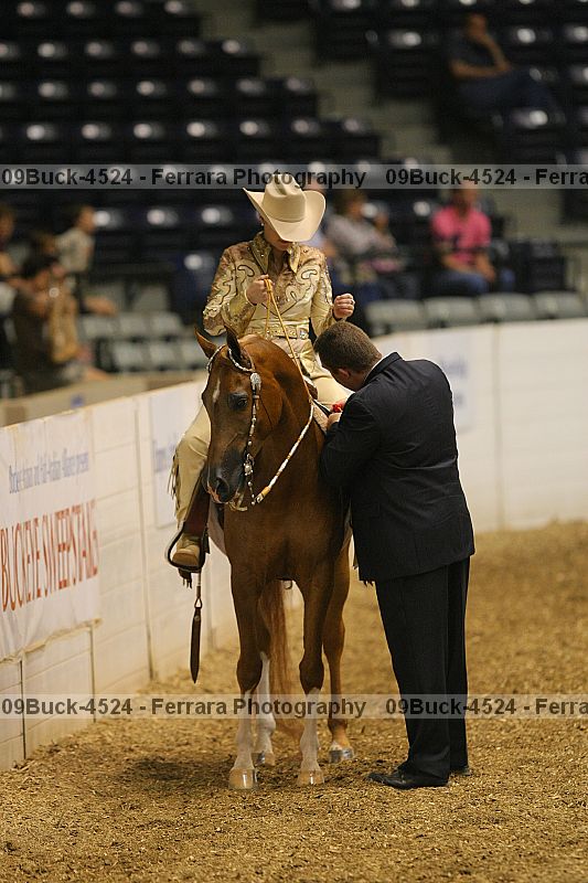Proof 09buck-4524