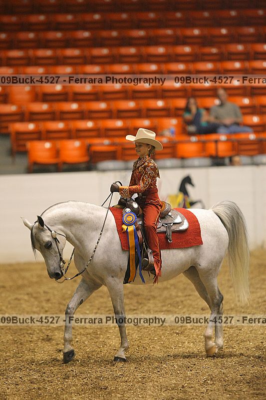 Proof 09buck-4527
