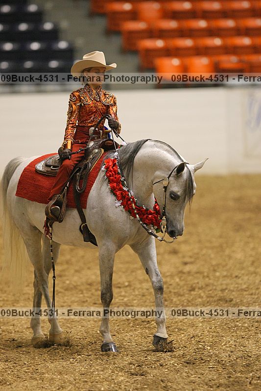 Proof 09buck-4531