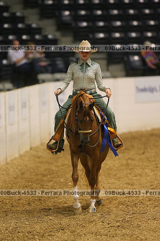 Proof 09buck-4533