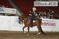 09buck-4538 proof