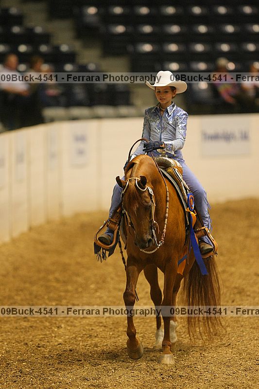 Proof 09buck-4541