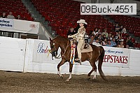 09buck-4551 proof