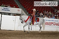 09buck-4556 proof